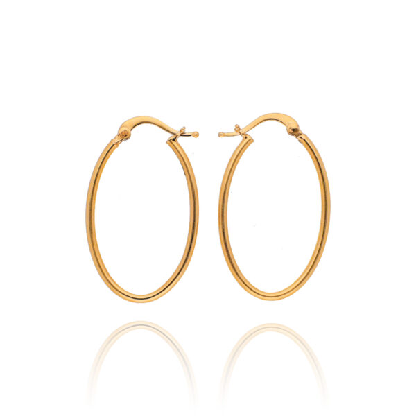 Gold Shimmer Arc Hoop Earrings