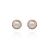 Soft Gleam Gold Tops Earrings