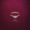 The Quiet Shine Amora Diamond Ladies Ring